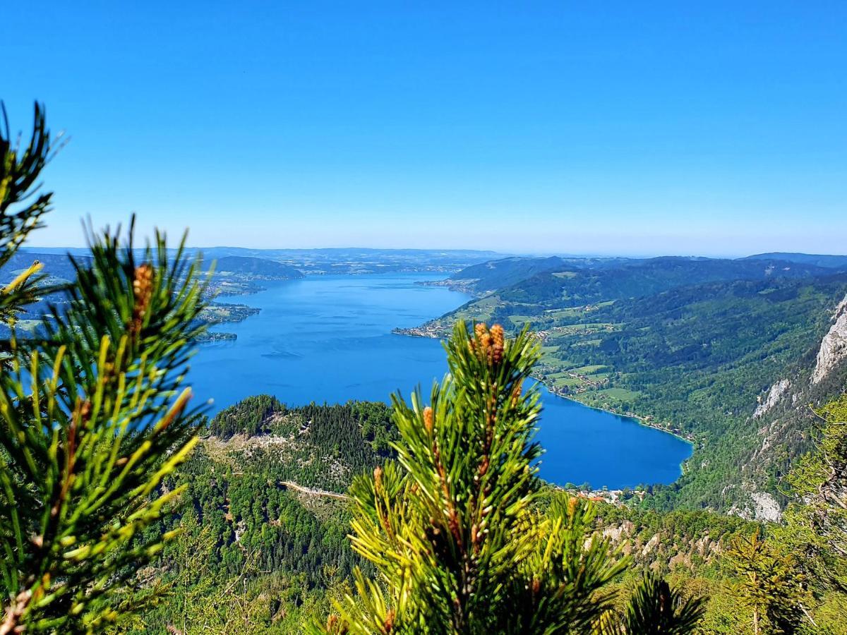 Haus Leitner Daire Attersee Dış mekan fotoğraf