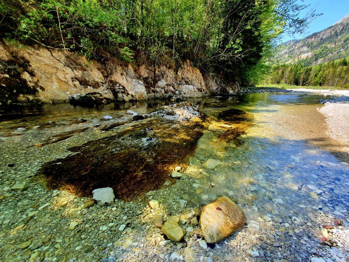 Haus Leitner Daire Attersee Dış mekan fotoğraf
